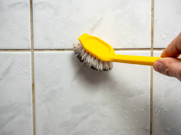 Pacheco, CA Mold Removal Company